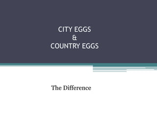 CITY EGGS
&
COUNTRY EGGS
The Difference
 
