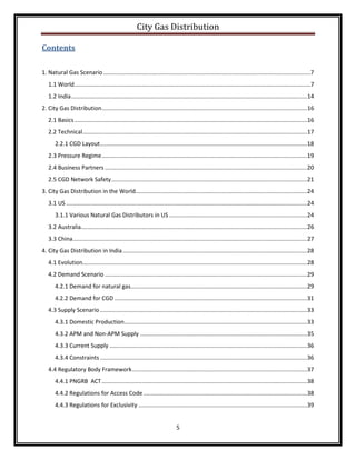 City Gas Distribution | PDF
