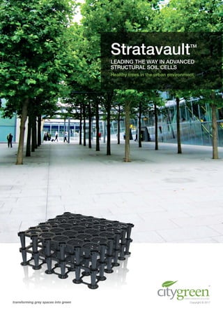 StratavaultTM
LEADING THE WAY IN ADVANCED
STRUCTURAL SOIL CELLS
Healthy trees in the urban environment
Copyright © 2017transforming grey spaces into green
 