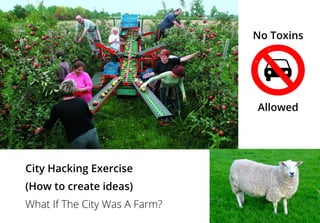 No Toxins
Allowed
City Hacking Exercise
(How to create ideas)
What If The City Was A Farm?
 
