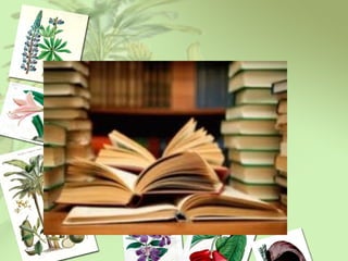 Equipments; English 1, activity book, blackbaord. 