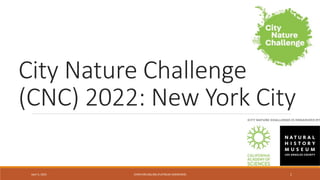 City Nature Challenge
(CNC) 2022: New York City
April 5, 2022 1
CHRIS KREUSSLING (FLATBUSH GARDENER)
 