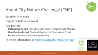 City Nature Challenge (CNC) 2022 - New York City.pptx