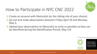 City Nature Challenge (CNC) 2022 - New York City.pptx