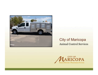 City of Maricopa
Animal Control Services
 