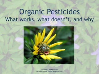 Organic Pesticides
What works, what doesn’t, and why

Dr. Linda Chalker-Scott
WSU Extension Urban Horticulturist

 