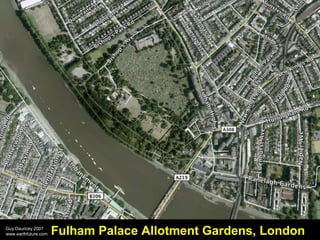 Guy Dauncey 2007
www.earthfuture.com

Fulham Palace Allotment Gardens, London

 
