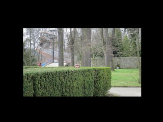 Academic excellence for business and the professions
 