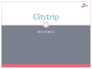 Citytrip
 ISTANBUL
 