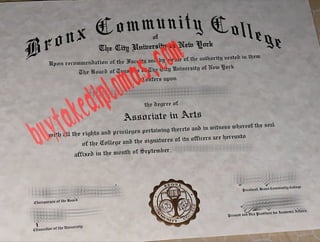 City University of New York of Bronx Community College degree