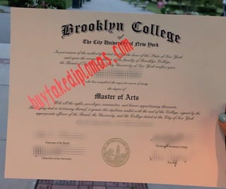 City University of New York of Brooklyn College degree