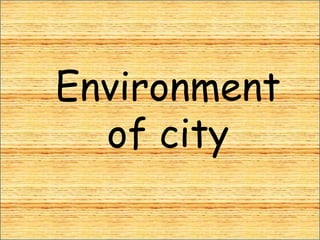 Environment
  of city
 
