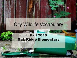 City Wildlife Vocabulary
Fall 2010
Oak Ridge Elementary
 