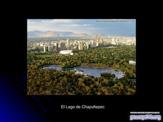 El Lago de Chapultepec

 