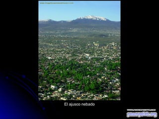 El ajusco nebado

 