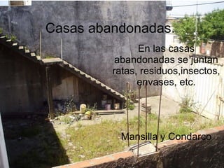 Casas abandonadas. En las casas abandonadas se juntan ratas, residuos,insectos, envases, etc. Mansilla y Condarco 