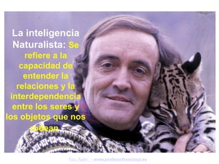 La inteligencia
 Naturalista: Se
     refiere a la
    capacidad de
     entender la
   relaciones y la
 interdependencia
  entre los seres y
los objetos que nos
       rodean.


               Fco. Ayén - www.profesorfrancisco.es
 