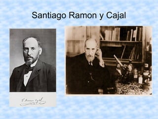 Santiago Ramon y Cajal
 