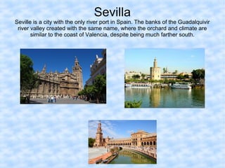 Sevilla
Seville is a city with the only river port in Spain. The banks of the Guadalquivir
river valley created with the same name, where the orchard and climate are
similar to the coast of Valencia, despite being much farther south.
 
