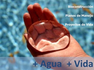 Bioconstrucción

       Planes de Manejo

      Proyectos de Vida




+ Agua + Vida
 