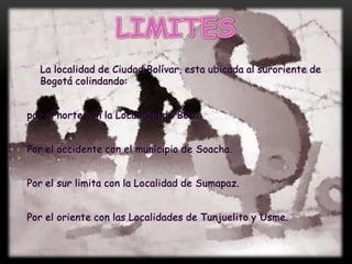 Población Según Edad Y GeneroEn la localidad se observa dos características bien definidas: la primera es que puede calificarse como joven. El grupo de edad con mayor representatividad (66%) es el rango de edad menor de 30 años, sobresaliendo la población de 5 a 9 años con una participación aproximada al 13% del total de la población local, seguida en promedios similares por los rangos involucrados de 0 a 14 años, después de los cuales la participación cae drásticamente.La segunda característica es la composición por genero según la cual las mujeres son el 51% de la población y los hombres el 49%, lo cual constituye una distribución similar al promedio de la ciudad. Manteniendo el perfil joven de la localidad las mujeres entre 20 y 30 años son el grupo más representativo.Como resultado de esta distribución y del comportamiento del mercado de trabajo, el índice de dependencia económica es del 65.7%, frente a un promedio de 51% en Bogotá.En Ciudad Bolívar por cada 100 habitantes en edad productiva dependen 62.2 personas menores de 15 años y 3.5 mayores de 65, este resultado permite afirmar que la población local se sostiene económicamente del 60.3% de sus habitantes.