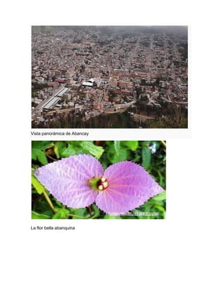 Vista panorámica de Abancay
La flor bella abanquina
 