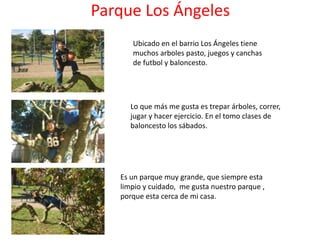 Parque Los Ángeles
      Ubicado en el barrio Los Ángeles tiene
      muchos arboles pasto, juegos y canchas
      de futbol y baloncesto.




      Lo que más me gusta es trepar árboles, correr,
      jugar y hacer ejercicio. En el tomo clases de
      baloncesto los sábados.




   Es un parque muy grande, que siempre esta
   limpio y cuidado, me gusta nuestro parque ,
   porque esta cerca de mi casa.
 