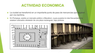 ACTIVIDAD ECONOMICA
 La ciudad se transformó en un importante punto de paso de mercancías que llegaban
por vía marítima.
 En Pompeya, existía un mercado público o Macellum, cuyos puestos lo más frecuentemente,
estaban colocados alrededor de una plaza rectangular, bajo pórticos.
 