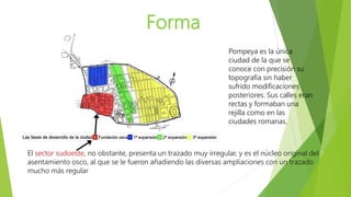 Forma
Pompeya es la única
ciudad de la que se
conoce con precisión su
topografía sin haber
sufrido modificaciones
posteriores. Sus calles eran
rectas y formaban una
rejilla como en las
ciudades romanas.
El sector sudoeste, no obstante, presenta un trazado muy irregular, y es el núcleo original del
asentamiento osco, al que se le fueron añadiendo las diversas ampliaciones con un trazado
mucho más regular
 