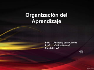 Organización del
Aprendizaje
Por: Anthony Vera Camba
Prof.: Carlos Malavé
Paralelo: A6
 