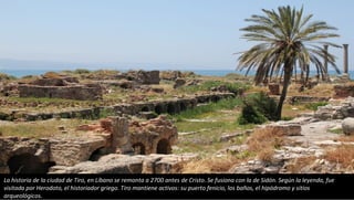 La historia de la ciudad de Tiro, en Líbano se remonta a 2700 antes de Cristo. Se fusiona con la de Sidón. Según la leyenda, fue
visitada por Herodoto, el historiador griego. Tiro mantiene activos: su puerto fenicio, los baños, el hipódromo y sitios
arqueológicos.
 