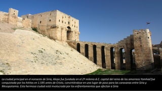 La ciudad principal en el noroeste de Siria, Alepo fue fundada en el 2º milenio A.C. capital del reino de los amorreos Yamhad fue
conquistada por los hititas en 1.595 antes de Cristo, convirtiéndose en una lugar de paso para las caravanas entre Siria y
Mesopotamia. Esta hermosa ciudad está involucrada por los enfrentamientos que afectan a Siria
 
