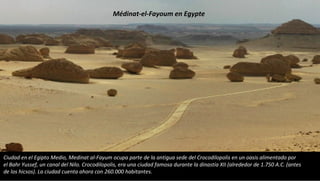 Ciudad en el Egipto Medio, Medinat al-Fayum ocupa parte de la antigua sede del Crocodilopolis en un oasis alimentado por
el Bahr Yussef, un canal del Nilo. Crocodilopolis, era una ciudad famosa durante la dinastía XII (alrededor de 1.750 A.C. (antes
de los hicsos). La ciudad cuenta ahora con 260.000 habitantes.
Médinat-el-Fayoum en Egypte
 