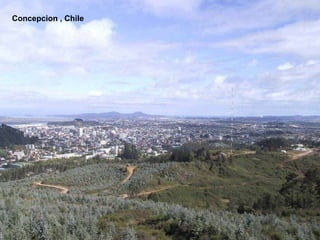 Concepcion , Chile
 