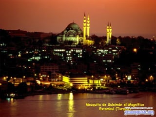 Mezquita de Suleimán el Magnífico Estambul (Turquía) 
