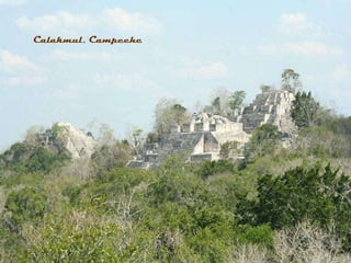 Calakmul, Campeche 