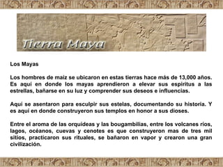 Los Mayas Los hombres de maíz se ubicaron en estas tierras hace más de 13,000 años. Es aquí en donde los mayas aprendieron a elevar sus espíritus a las estrellas, bañarse en su luz y comprender sus deseos e influencias.  Aquí se asentaron para esculpir sus estelas, documentando su historia. Y es aquí en donde construyeron sus templos en honor a sus dioses.  Entre el aroma de las orquídeas y las bougambilias, entre los volcanes ríos, lagos, océanos, cuevas y cenotes es que construyeron mas de tres mil sitios, practicaron sus rituales, se bañaron en vapor y crearon una gran civilización.  