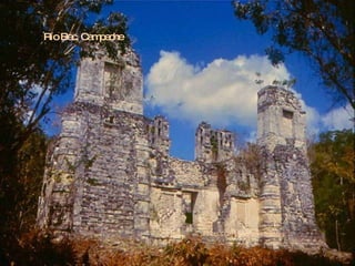 Photo  ©  2010  por robertoliebig  Río Bec, Campeche 