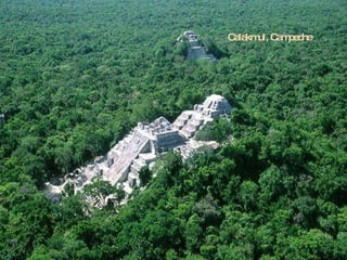 Calakmul, Campeche 