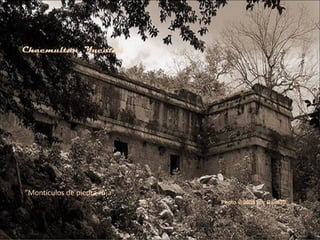 Photo © 2009 por Balta30
Chacmultun, Yucatàn
"Montículos de piedra roja"
 