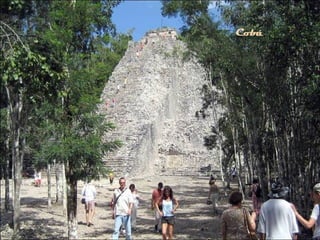 Cobá
 