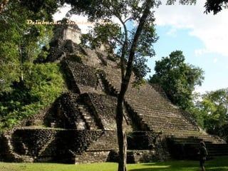 Dzinbache, Quintana Roo
 