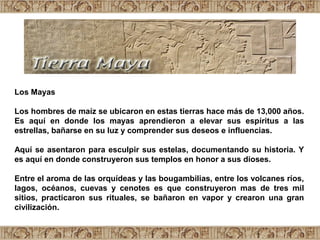 Los Mayas
Los hombres de maíz se ubicaron en estas tierras hace más de 13,000 años.
Es aquí en donde los mayas aprendieron a elevar sus espíritus a las
estrellas, bañarse en su luz y comprender sus deseos e influencias.
Aquí se asentaron para esculpir sus estelas, documentando su historia. Y
es aquí en donde construyeron sus templos en honor a sus dioses.
Entre el aroma de las orquídeas y las bougambilias, entre los volcanes ríos,
lagos, océanos, cuevas y cenotes es que construyeron mas de tres mil
sitios, practicaron sus rituales, se bañaron en vapor y crearon una gran
civilización.
 