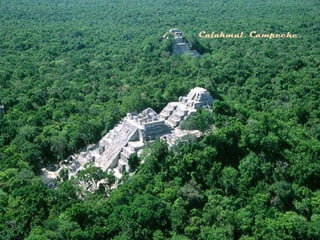 Calakmul, Campeche
 