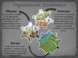 Aztecas:
La economía los aztecas
desarrolló un singular
sistema de cultivo en el
hecho de los lagos, las
chinampas. Elaboraban
pulque, una bebida
alcohólica, conocieron el
tabaco.
Mayas:
La economía se basaba
en la agricultura,
cultivaban maíz, papa,
hortalizas y otras
especies básicas de su
dieta, los cultivo serán
similares a los aztecas
Incas:
Cultivaban maíz, papa,
mandioca, calabaza, coca y
otros productos en terrazas
construidas en laderas de
las montañas
 