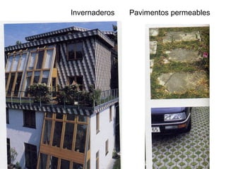 Invernaderos Pavimentos permeables
 