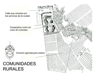 Calle que conecta con
los servicios de la ciudad
Cooperativa rural con
unas 30 viviendas
Cinturón agrícola peri-urbano
COMUNIDADES
RURALES
 