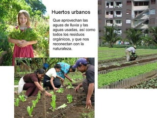Que aprovechan las
aguas de lluvia y las
aguas usadas, así como
todos los residuos
orgánicos, y que nos
reconectan con la
naturaleza.
 