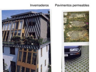Invernaderos Pavimentos permeables
 