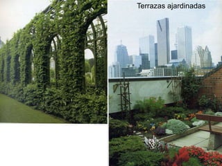 Terrazas ajardinadas
 